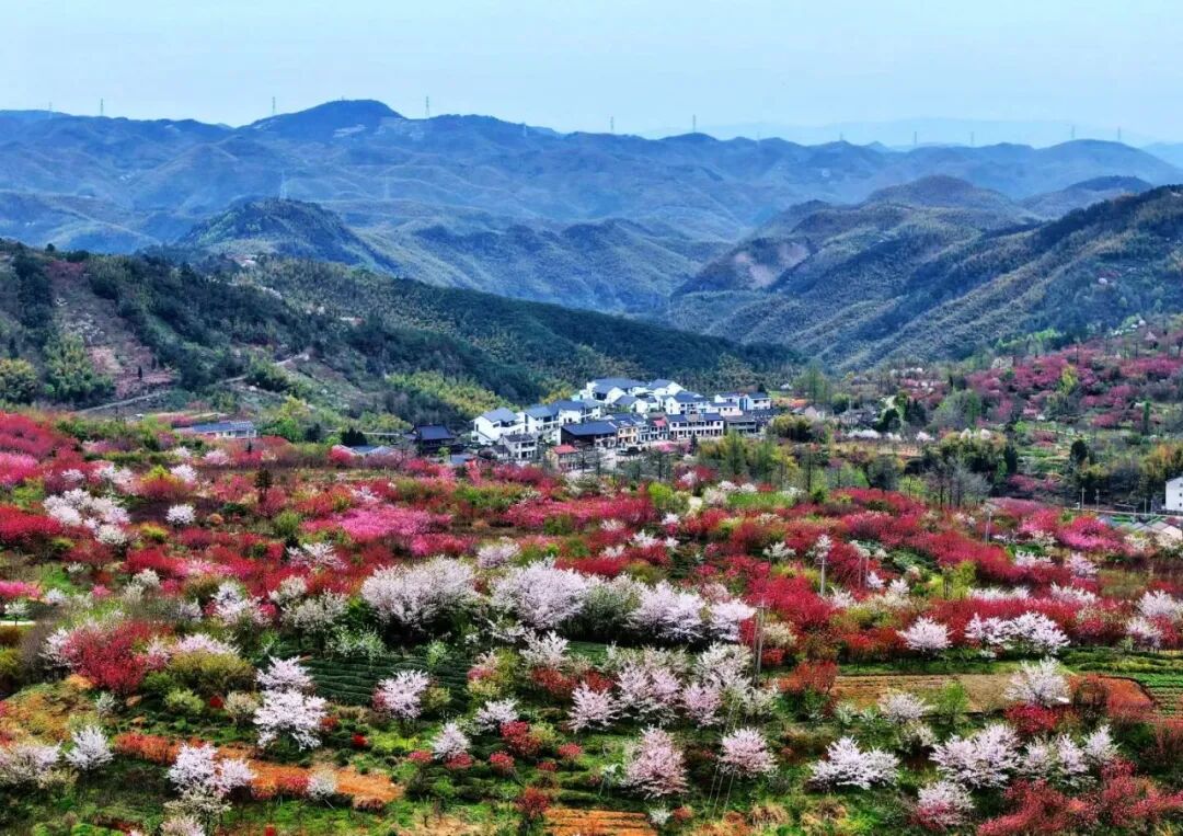���������������ӵ�����磺̸�½���ɢ������ѧ������·��